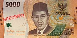 IDR5000_250px_C.jpg