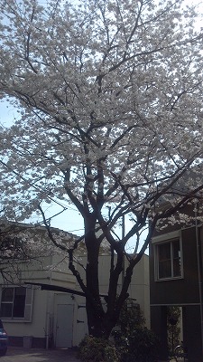 2013-03-26_12-43-53_463.jpg