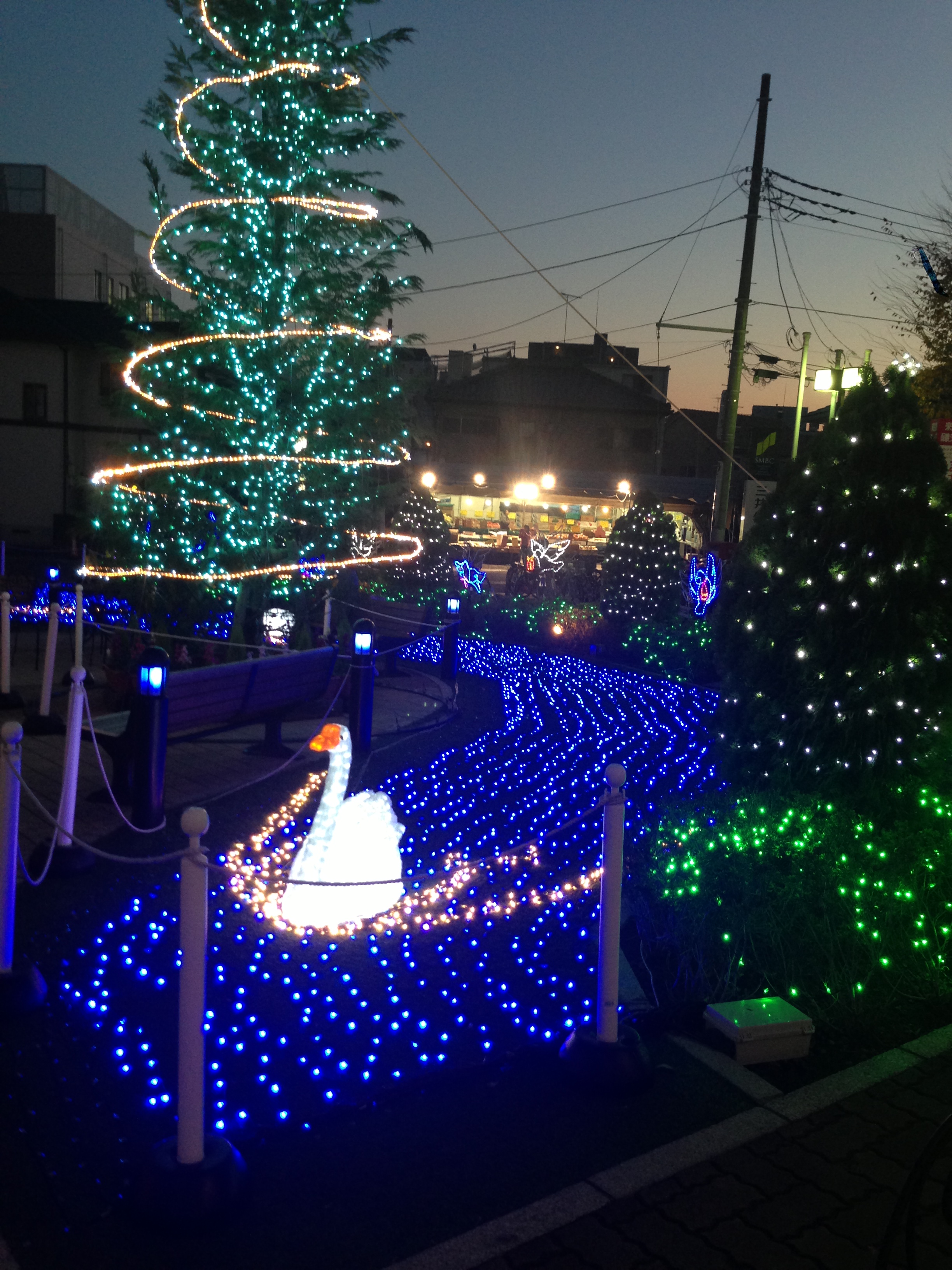2013.11.29　イルミネーション.JPG