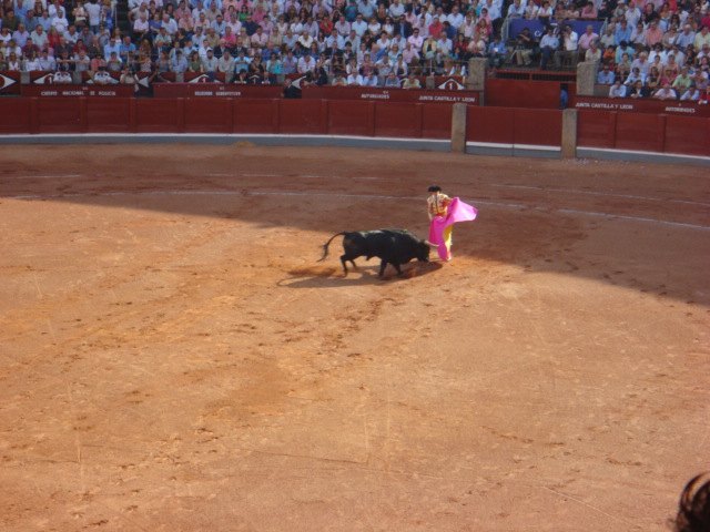 DSC00116.JPG