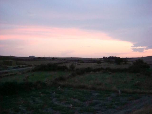 DSC00155.JPG