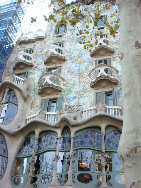 DSC00422.JPG