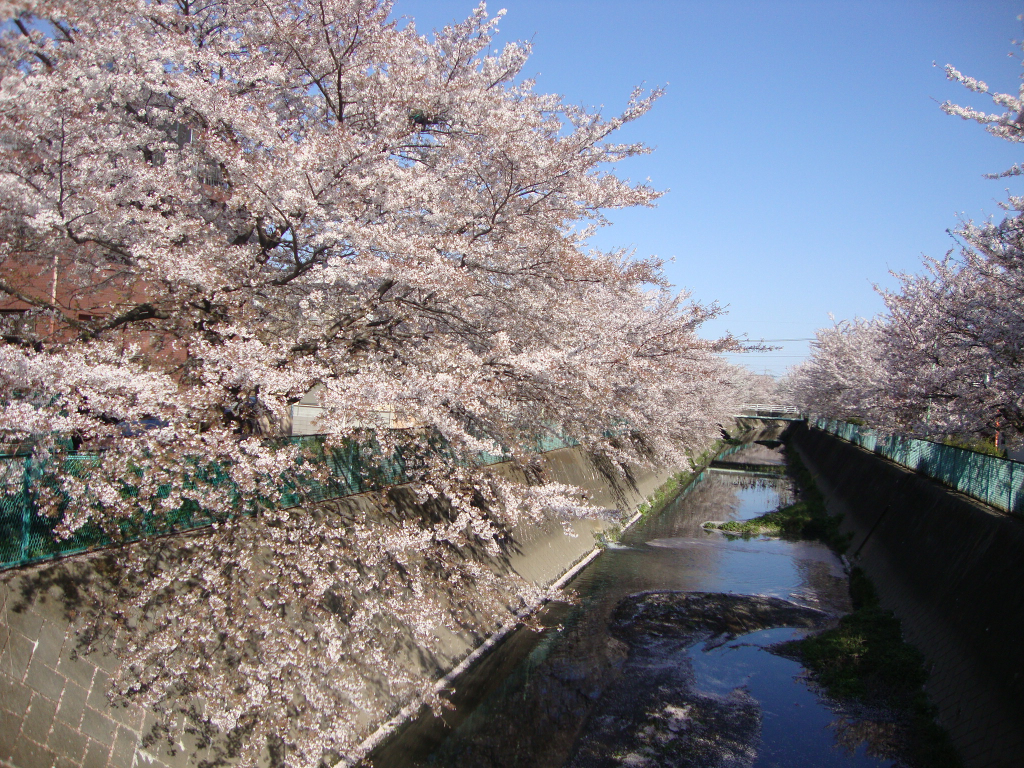 DSC01690.JPG