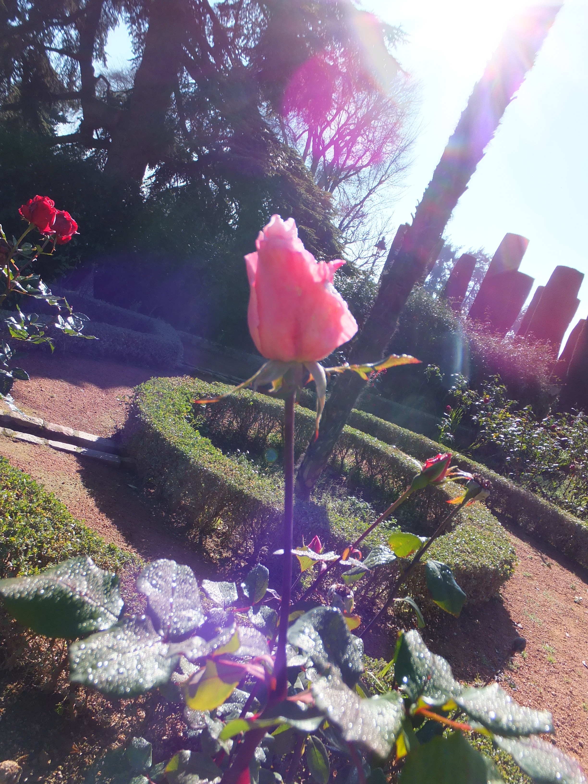 DSCF0620.JPG