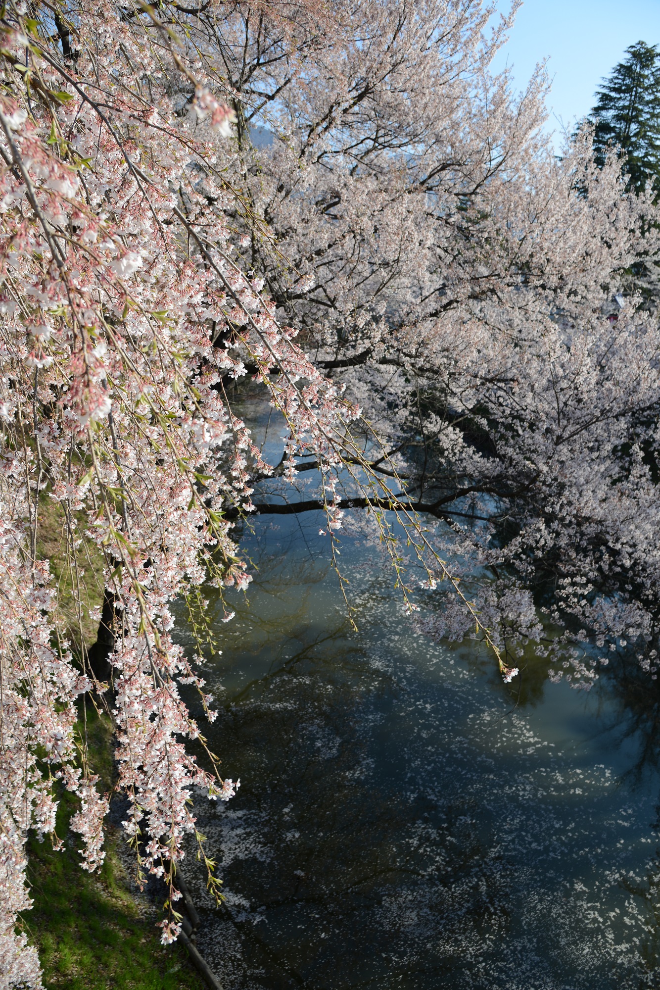 DSC_0161縮小.jpg