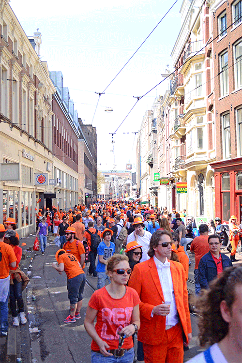DSC_0700_blog.gif