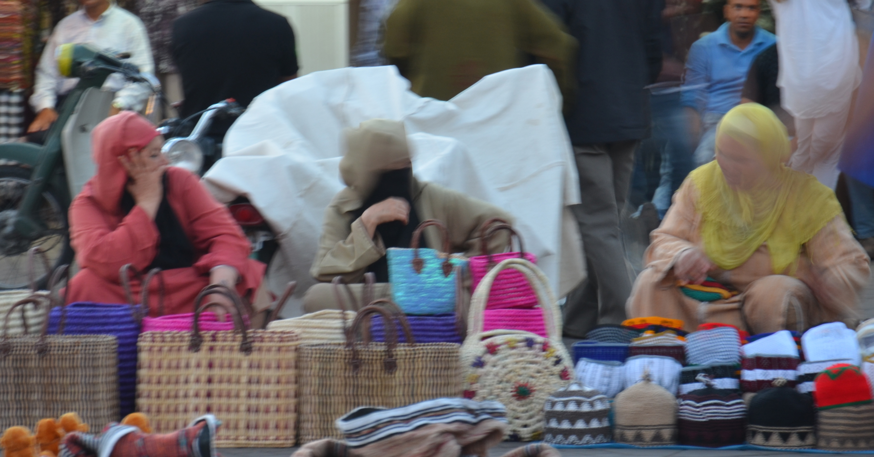 DSC_1461.jpg