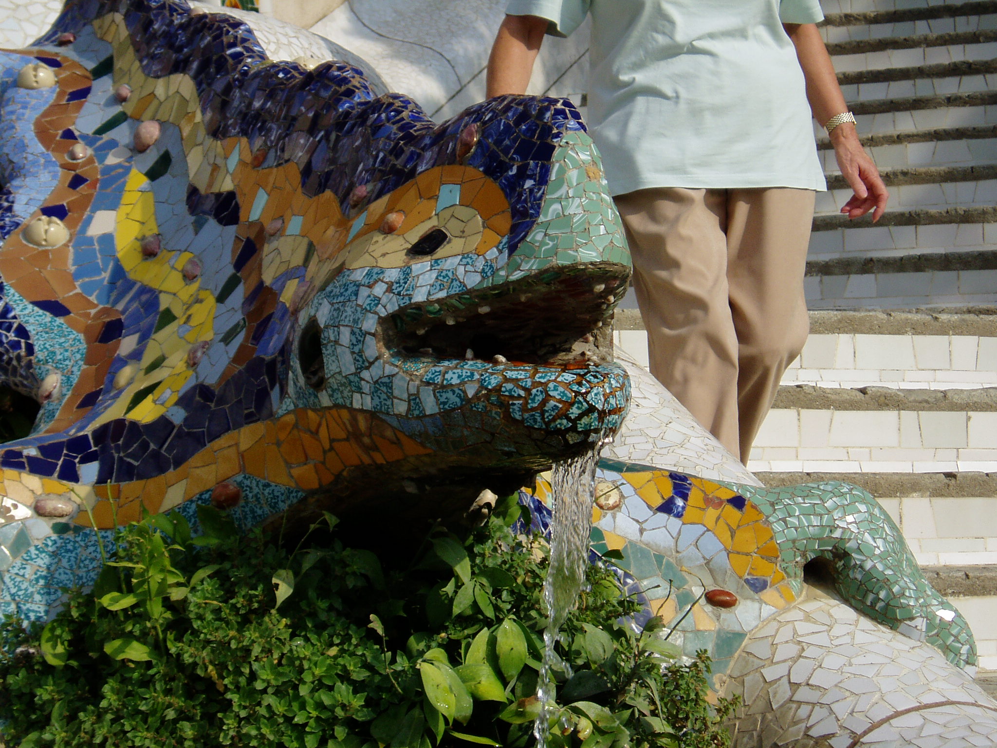 P1010021.JPG