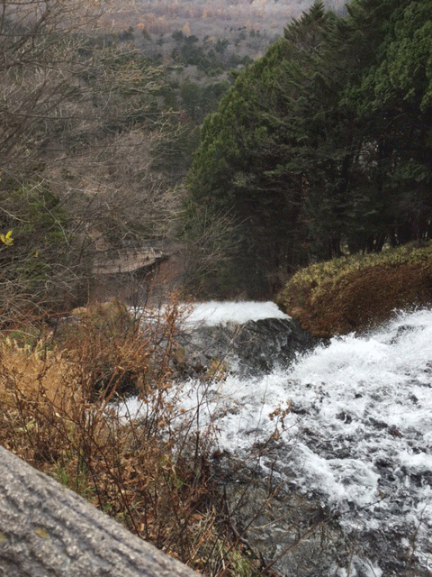 waterfalls.gif