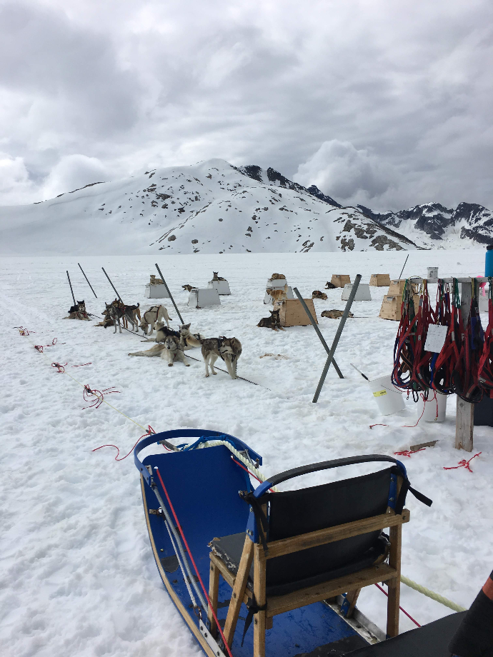 アラスカクルーズ