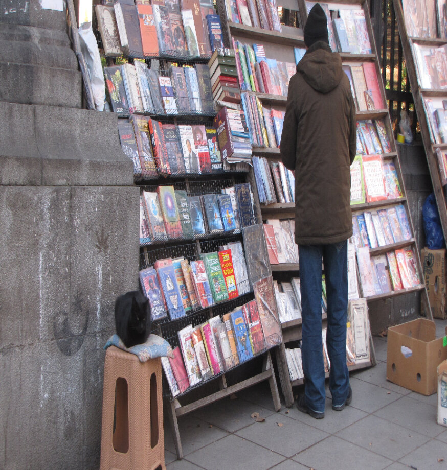 トビリシの黒猫ちゃん