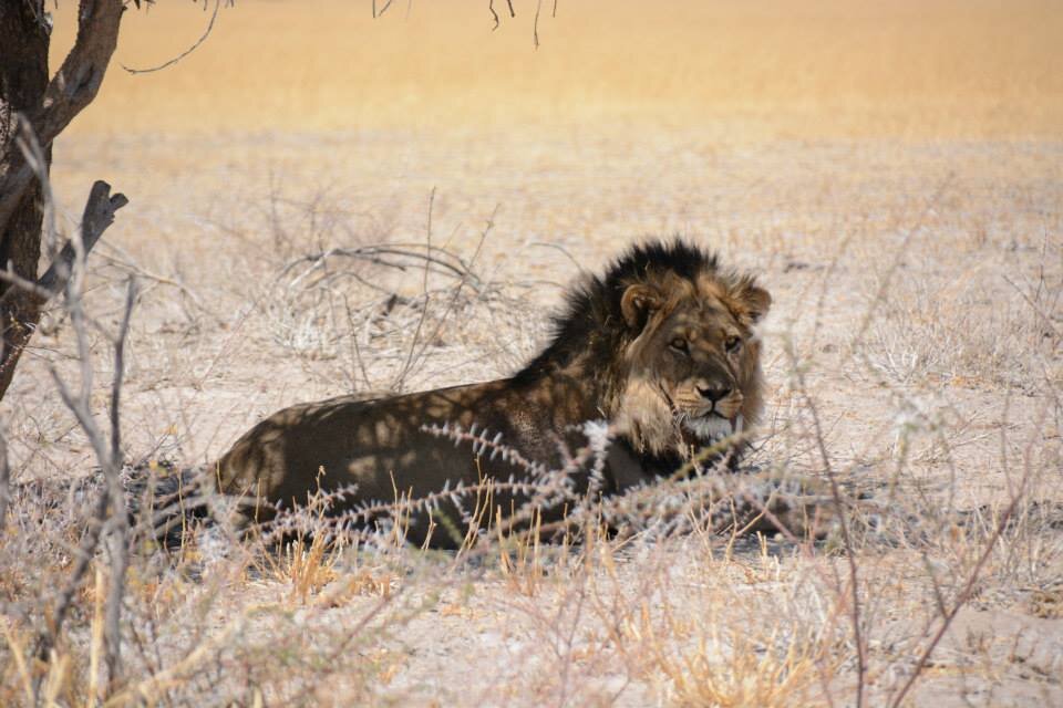 アフリカでのハプニング