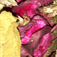 acount-131005022-blog.gif