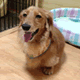 acount-140924038-blog.gif