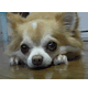 acount-141107052-blog.gif