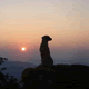acount-141228027-blog.gif