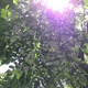 acount-150223029-blog.gif