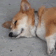 acount-160630025-blog.gif