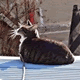 acount-160926090-blog.gif