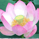 acount-170407039-blog.gif