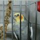acount-170926042-blog.gif