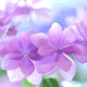 acount-181207029-blog.gif