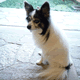 acount-190408148-blog.gif