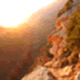 acount-190508009-blog.gif