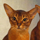 acount-230908019-blog.gif